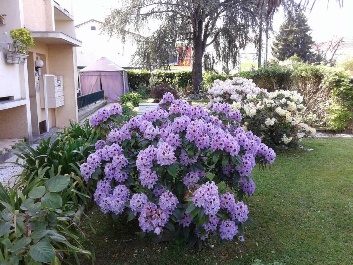 Les Floralies Apartment Pau Bagian luar foto