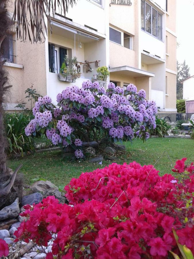 Les Floralies Apartment Pau Bagian luar foto